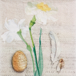 냅킨아트 L540400 NARCISSE NATURELLE 냅킨20매 33x33cm 0192