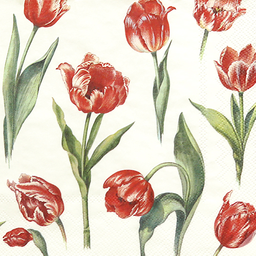 냅킨아트 L5711600  RED TULIPS cream 냅킨20매 33x33cm 1027