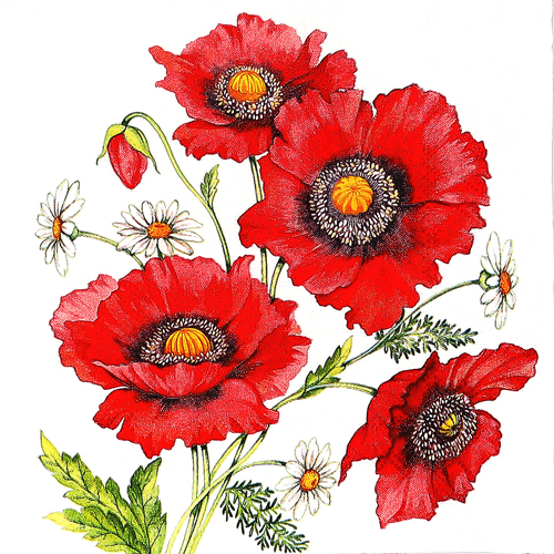 냅킨아트 13311660 Poppy Scene 냅킨20매 33x33cm 1036