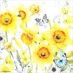 냅킨아트 13312690 Classic Daffodils 냅킨20매 33x33cm 0035