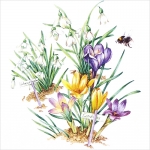 냅킨아트 L807600 PRIMAVERA 냅킨20매 33x33cm 0843