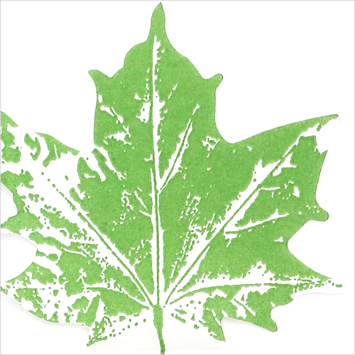 냅킨아트 33564 Maple leaf green  냅킨20매 33x33cm 1113