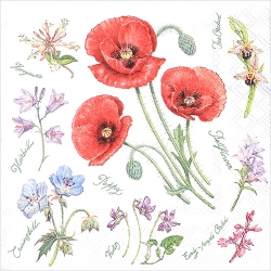 냅킨아트 13309755 Poppy Harmony 냅킨20매 33x33cm 2282