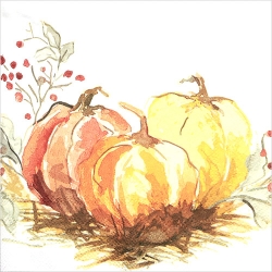 냅킨아트 L800900 PAINTED PUMPKIN 냅킨20매 33x33cm 2710