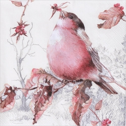 냅킨아트 L822260 BEAUTIFULBULLFINCH cream 냅킨20매 33x33cm 2762