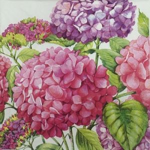 냅킨아트 L537395 Sea of pink blossoms 냅킨20매 33x33cm 0613